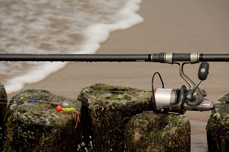 Wędka, kołowrotek i zestaw trociowy na tle morskiej plaży