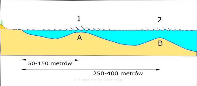 Schemat rysunkowy budowy dna Bałtyku