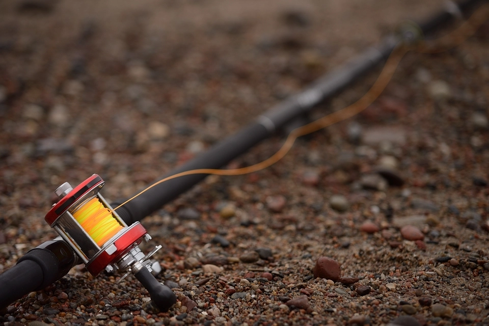 Fotografia multiplikatora Ambassadeur 6500 CT na mokrych kamykach morskiego brzegu