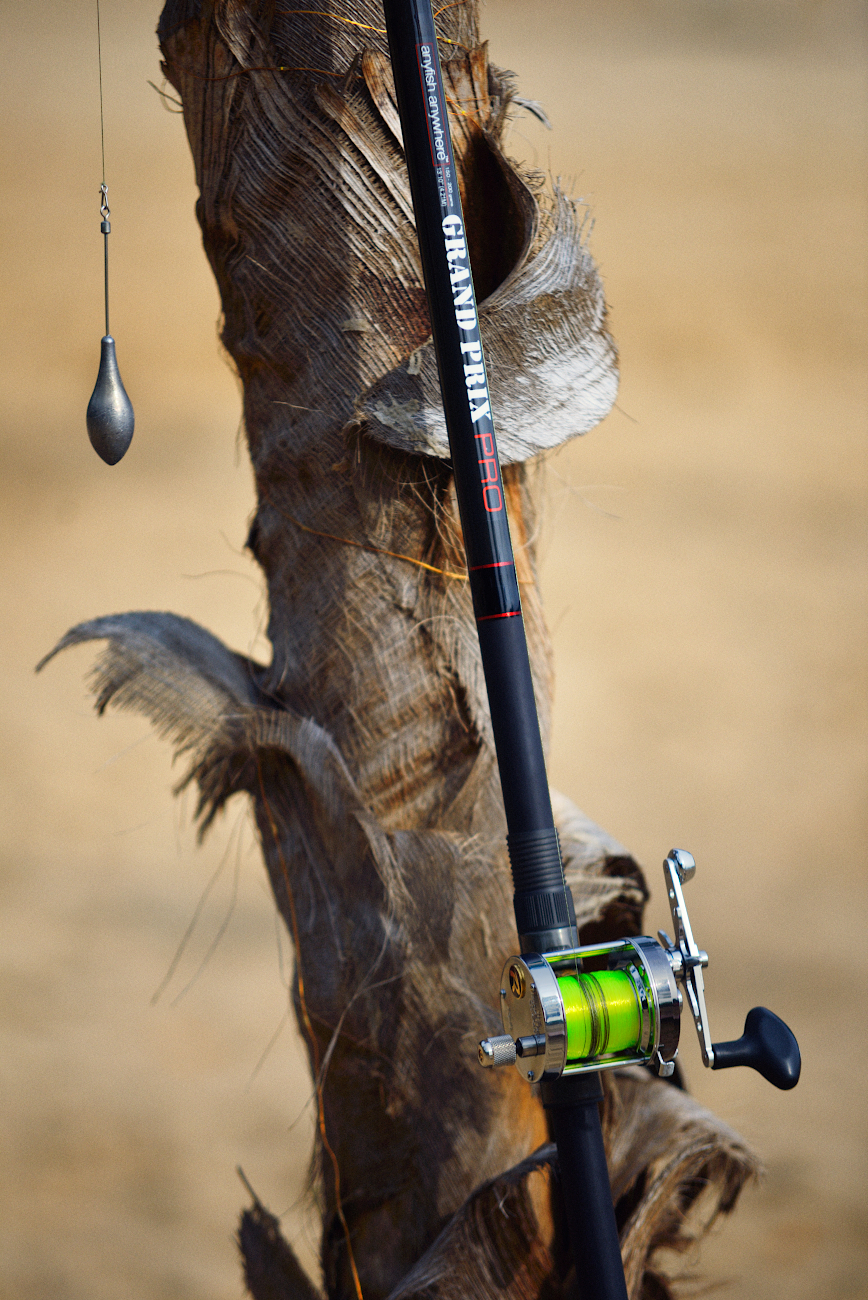 Wędka morska na tle pnia palmy