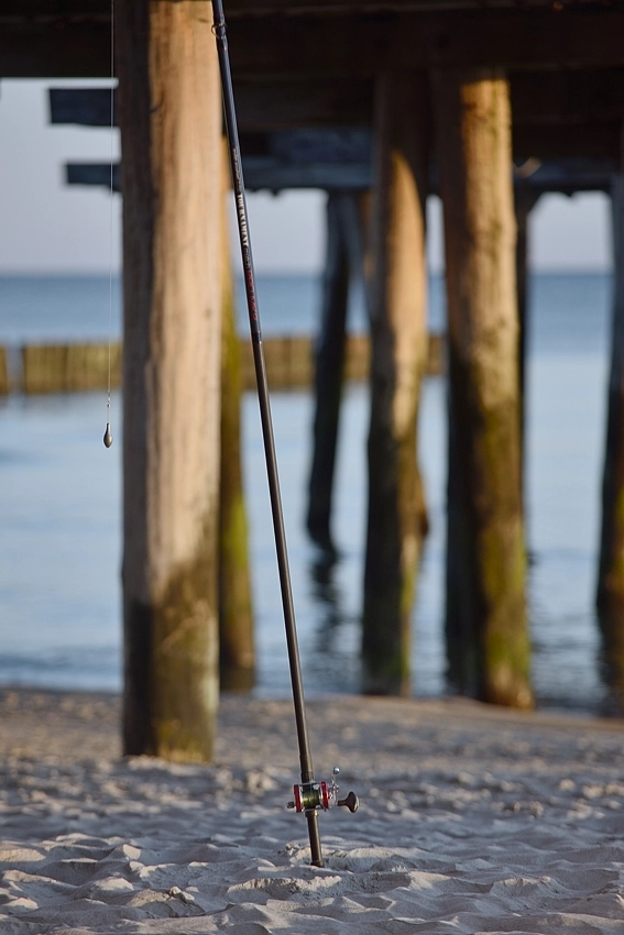 Wędka plażowa i multiplikator oświetlony porannym światłem na tle drewniaych pali