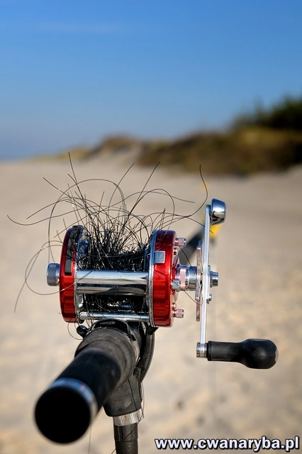 Zły dobór parametrów żyłki