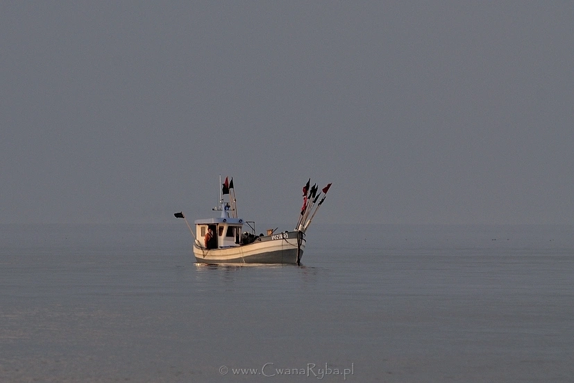 Dźwięk silnika tej jednostki skutecznie przegonił stada grudniowych leszczy
