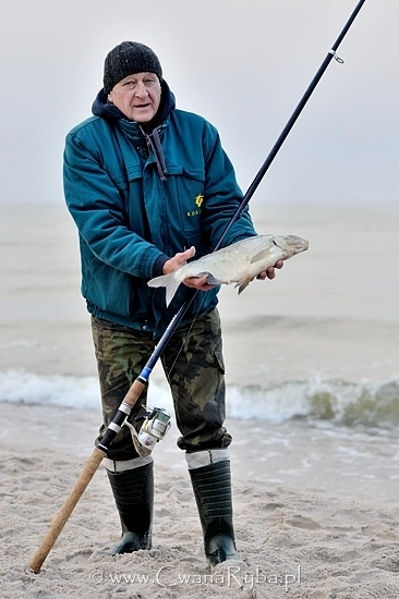 Leszcze w tym okresie są w świetnej kondycji