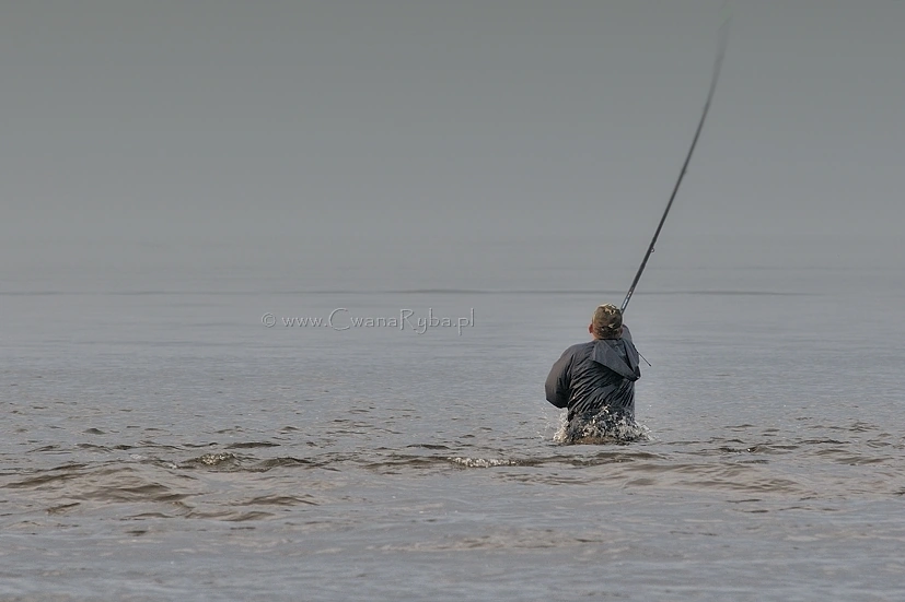 Brodzący wędkarz, który płoszy stada leszczy
