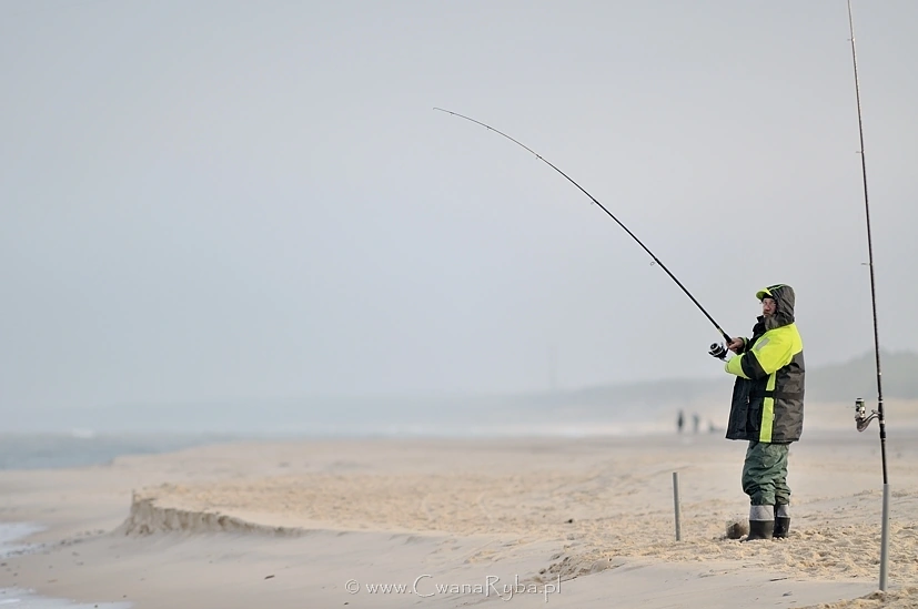 Sąsiad z prawej holuje w tym dniu już siódmego leszcza