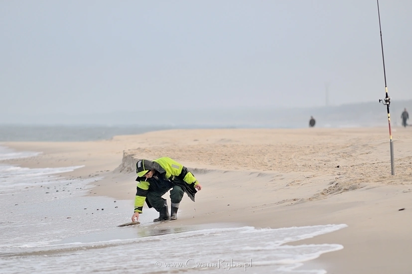 Kolejny leszcz sąsiada z prawej