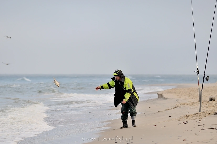 Zwracanie wolności niewymiarowej rybie