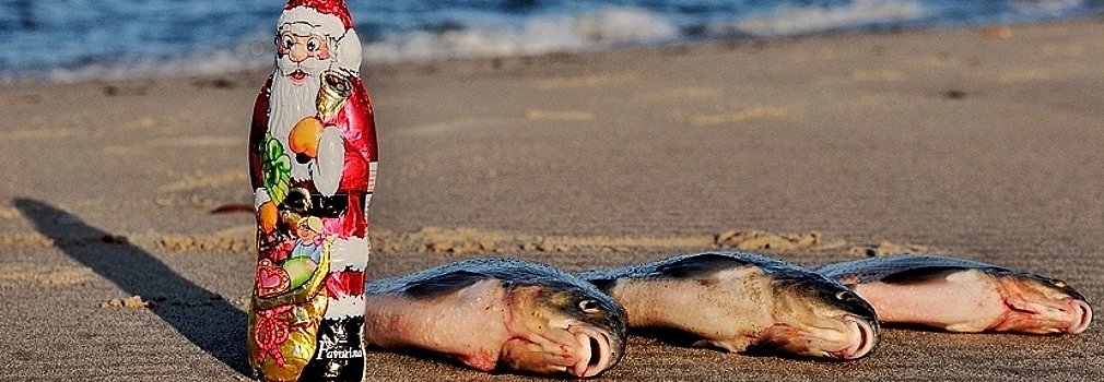 morski leszcz na św. Mikołaja