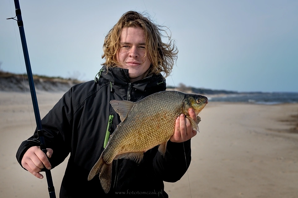 Morski leszcz złowiony na feedera 40 metrów od brzegu