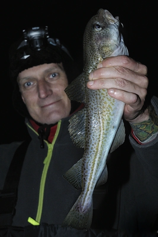 Łowienie dorszy z plaży daje dużo radości