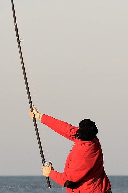 Century multiplikator Abu i  żyłka strzałowa 1,2 mm