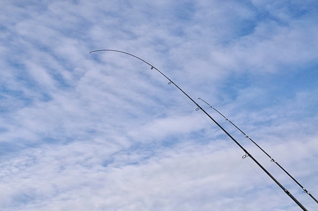 Wyprostowana szczytówka wędki, to czesto oznaka brania w metodzie surfcastingowej