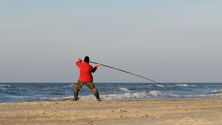 Surfcastingowa wędka Century wytrzymuje potężne przeciążenia
