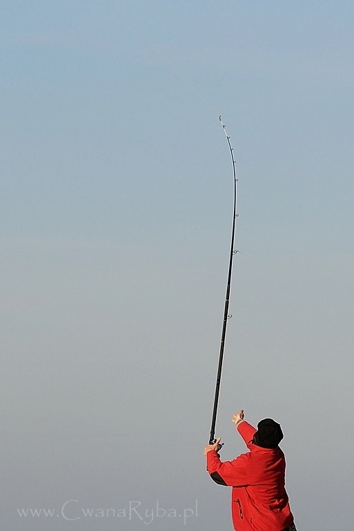 Surfcasting Century i rzuty do nieba