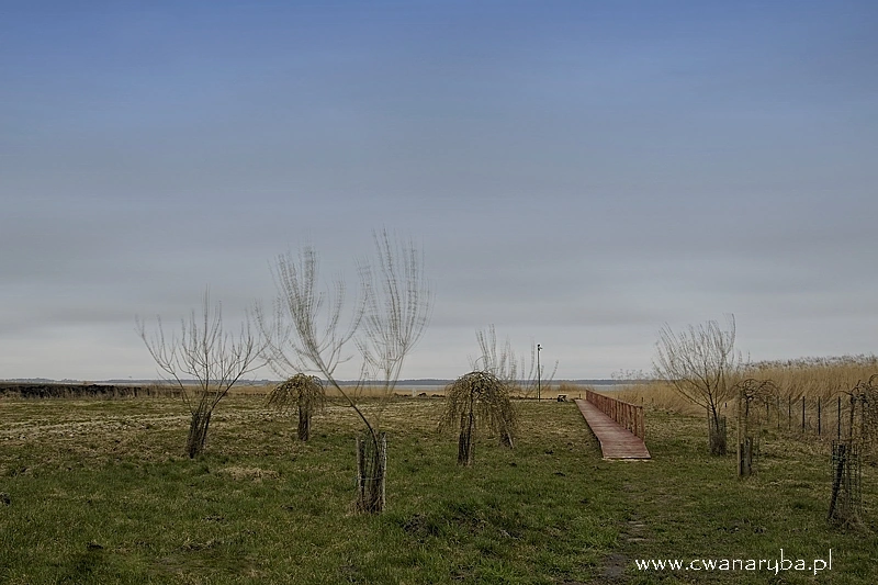 Malownicza ścieżka z pomostem nad jezioro Bukowo Morskie