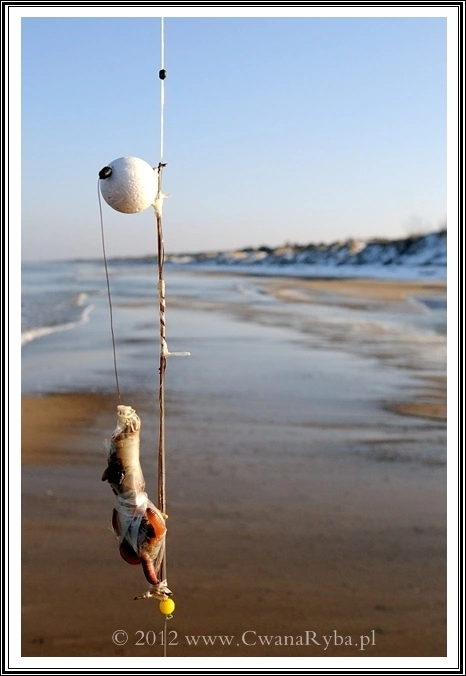 Przynęta zabezpieczona taśmą PVA