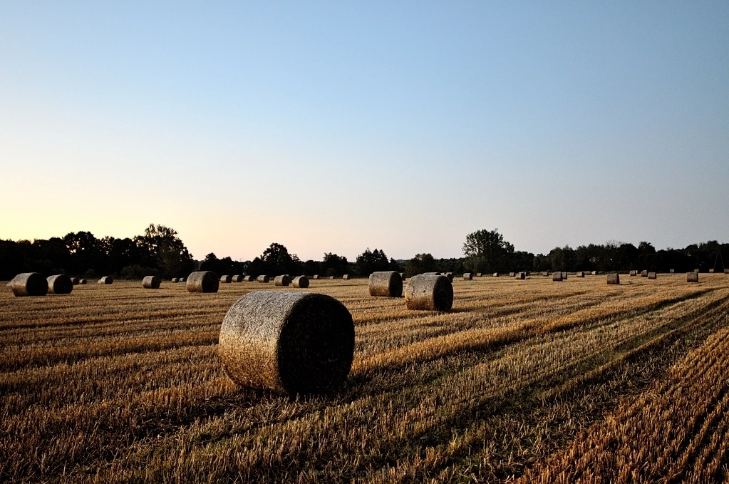 Możliwości obiektywu, to jeszcze noc - Nikkor 24mm @1,4