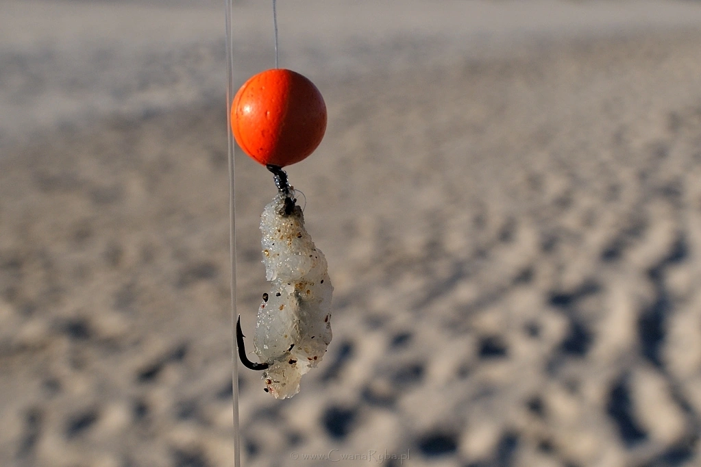 Mój zestaw na fileta - Nikkor 24mm @1,4