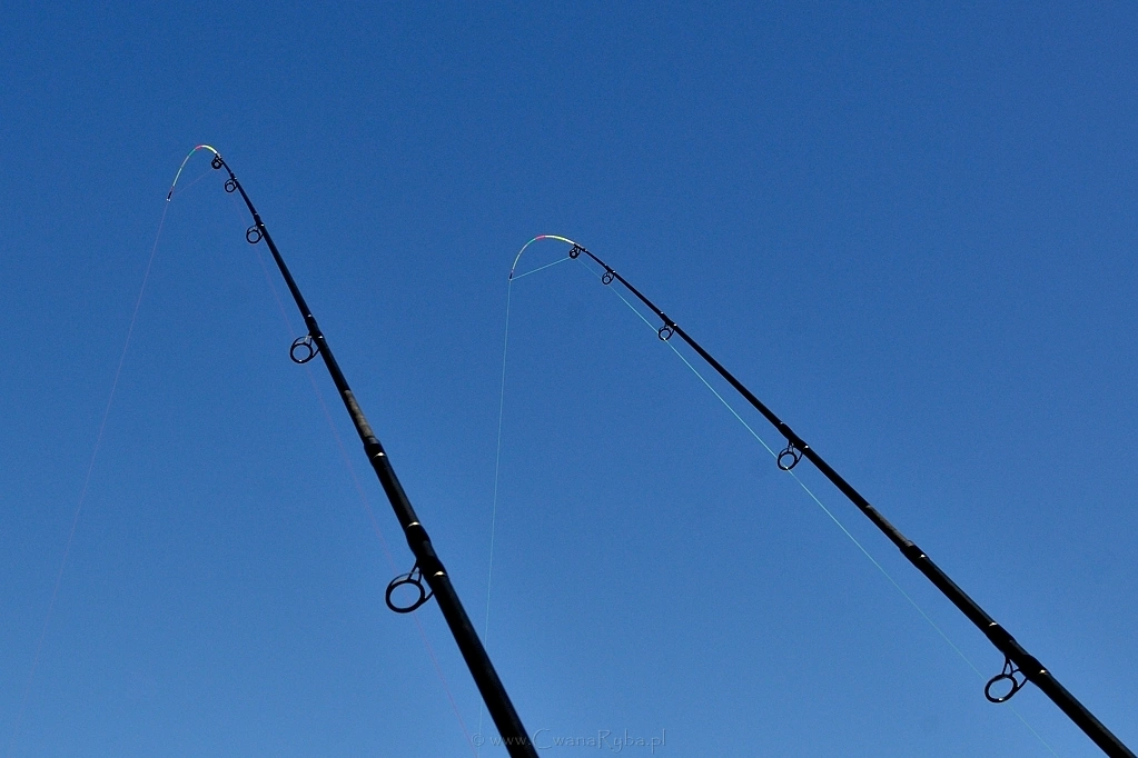 Zero brań na horyzoncie-Nikkor 24 @5.6