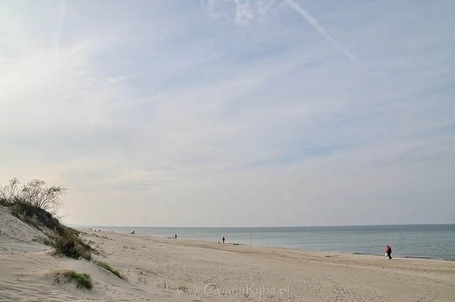 Widok zachodniej części plaży Mielna zdominowany stanowiskami wędkarskimi