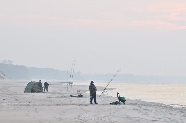 W zawodach surfcastingowych rozegranych tego dnia liczył się do punktacji nie tylko dorsz