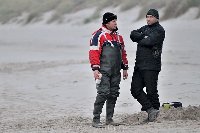 Dorsz lubi ciemną nocą podpływać do brzegu za ławicami tubisa