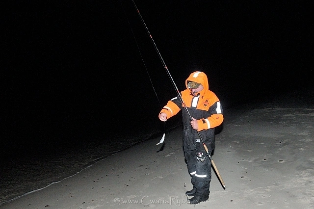 W dniu, a raczej nocy zawodów brała tylko mała flądra. Wiele z nich nie miało wymiaru ochronnego i musiały trafić z powrotem do wody
