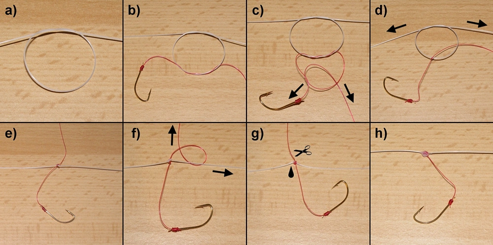 Sposób wiązania przyponu na żyłce głównej zestawu śledziowego