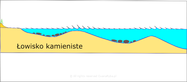Schemat rysunkowy budowy dna kamienistego Bałtyku