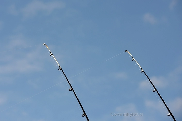 Szczytowe fragmenty wędek morskich na tle nieba