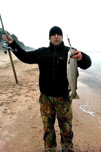 Troć z plaż Unieścia