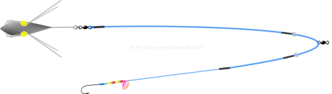Schemat budowy zestawu do surfcastingu Short Clip A