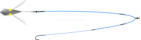 Schemat budowy zestawu do surfcastingu Abramis C