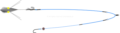 Schemat budowy zestawu do surfcastingu Abramis Clip Up C