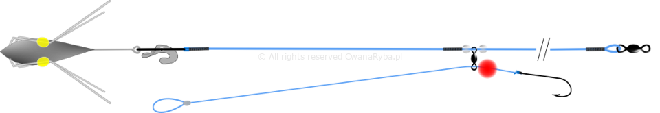 Schemat zestawu do łowienia belon Belona Clip Up Revers A
