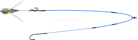 Schemat budowy zestawu do surfcastingu Callarias Clip C