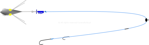 Schemat budowy zestawu do surfcastingu Callarias Duo Clip C