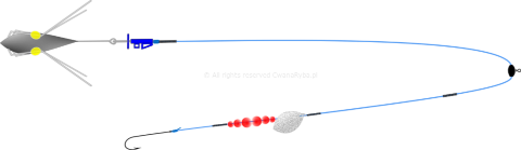 Schemat budowy zestawu do połowu fląder Platessa Clip Olympic Arenic Up C