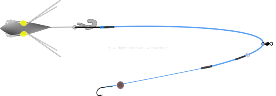 Schemat pływającego zestawu do surfcastingu Short Clip Up C